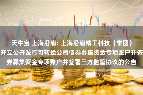 天牛宝 上海沿浦: 上海沿浦精工科技（集团）股份有限公司关于公司开立公开发行可转换公司债券募集资金专项账户并签署三方监管协议的公告