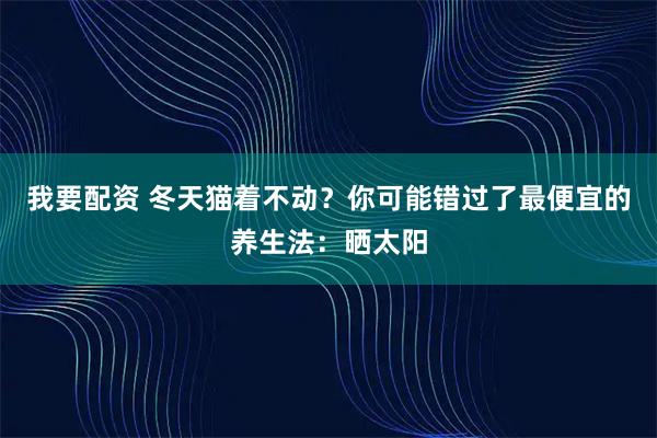 我要配资 冬天猫着不动？你可能错过了最便宜的养生法：晒太阳
